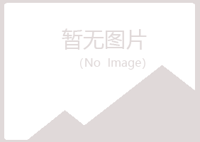 陕西雅山化学有限公司